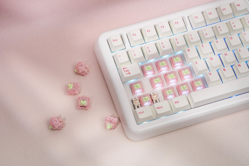 ✍️ Be the Boss of Your Keyboard: Create Your Perfect Typing Experience